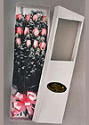 Ampliar Highslide JS